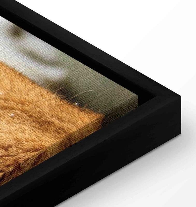 Quadro Love's Secret in Poster e stampe Collezione Casa - Trebisacce, commercioVirtuoso.it