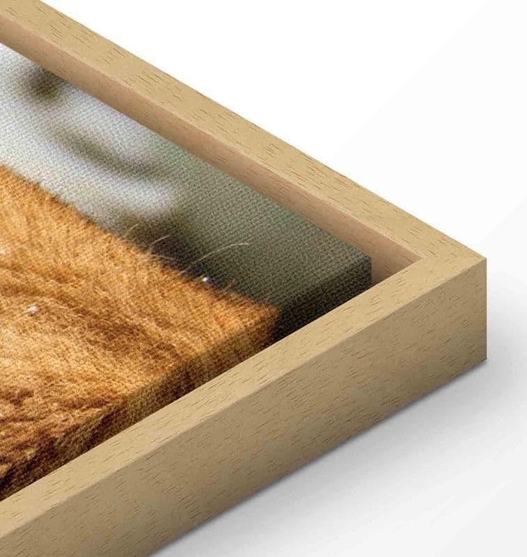Quadro Love's Secret in Poster e stampe Collezione Casa - Trebisacce, commercioVirtuoso.it