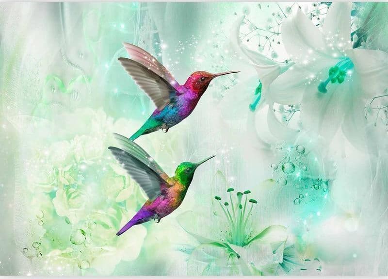 Fotomurale Colourful Hummingbirds (Green) in Carta da parati Collezione Casa - Trebisacce, commercioVirtuoso.it