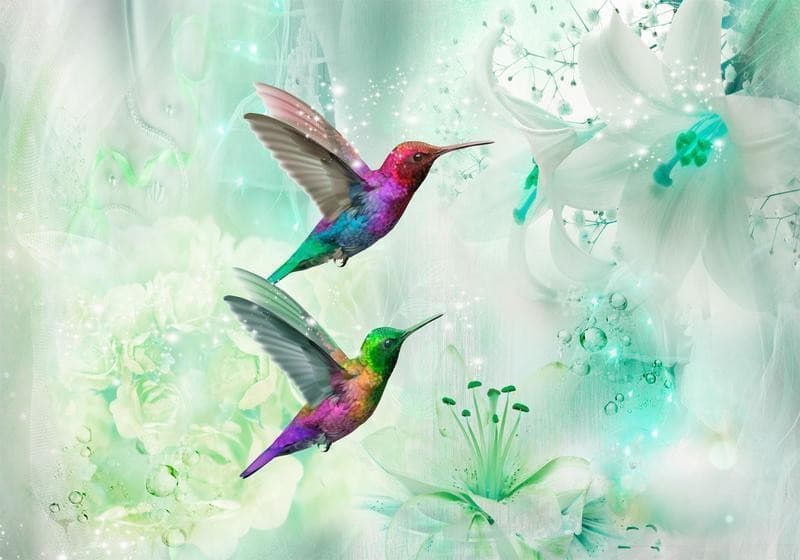 Fotomurale Colourful Hummingbirds (Green) in Carta da parati Collezione Casa - Trebisacce, commercioVirtuoso.it