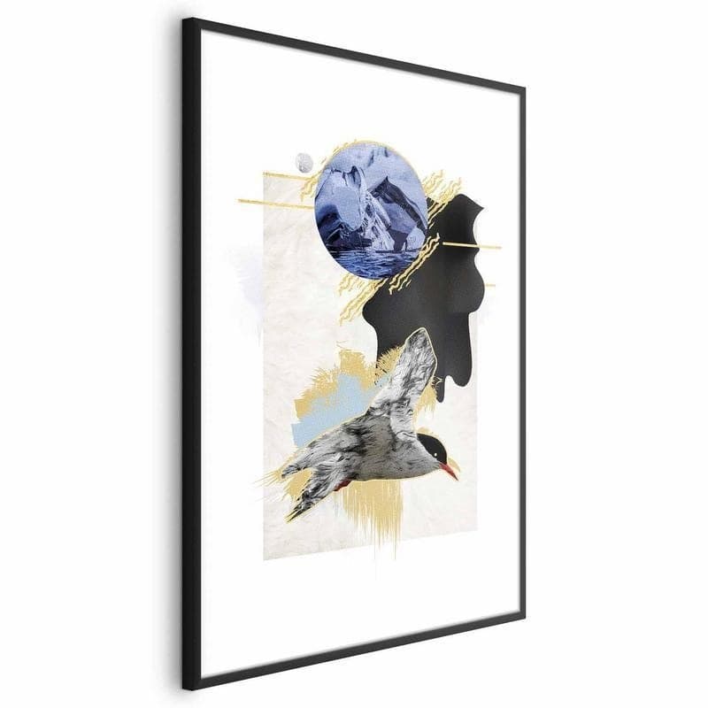 Poster - Antarctic Tern in Poster e stampe Collezione Casa - Trebisacce, commercioVirtuoso.it