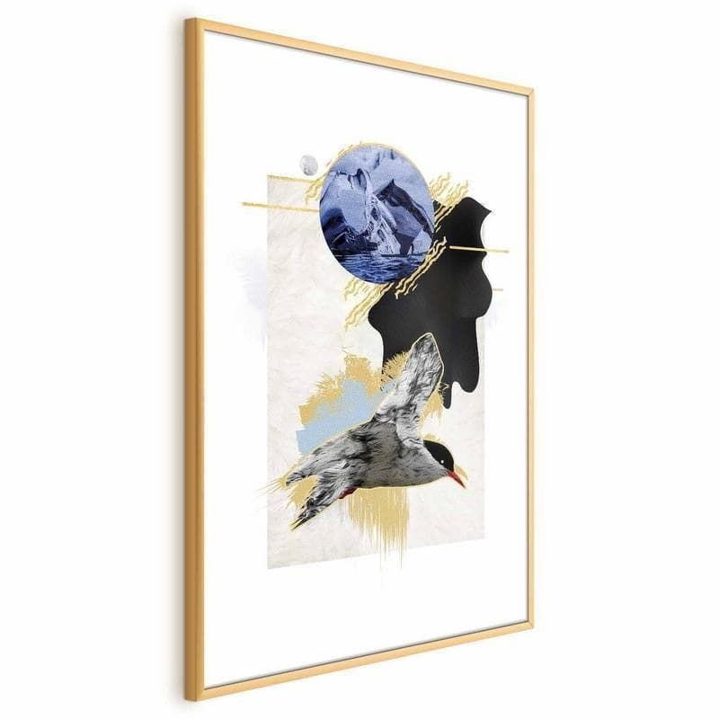 Poster - Antarctic Tern in Poster e stampe Collezione Casa - Trebisacce, commercioVirtuoso.it