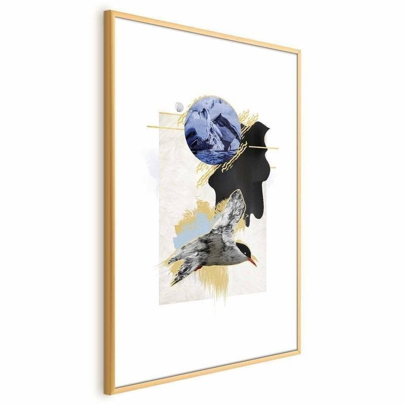Poster - Antarctic Tern in Poster e stampe Collezione Casa - Trebisacce, commercioVirtuoso.it