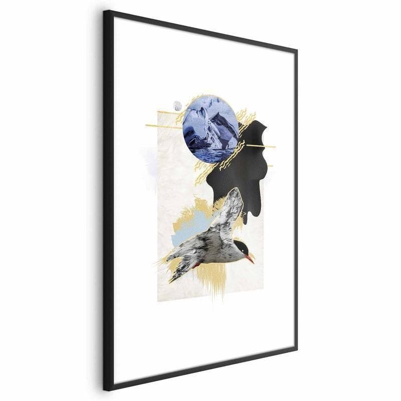 Poster - Antarctic Tern in Poster e stampe Collezione Casa - Trebisacce, commercioVirtuoso.it