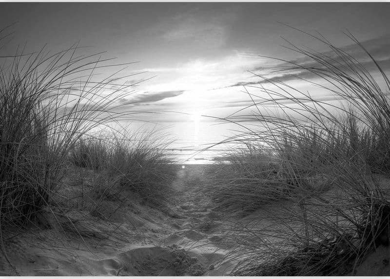 Fotomurale beach (black and white) in Carta da parati Collezione Casa - Trebisacce, commercioVirtuoso.it