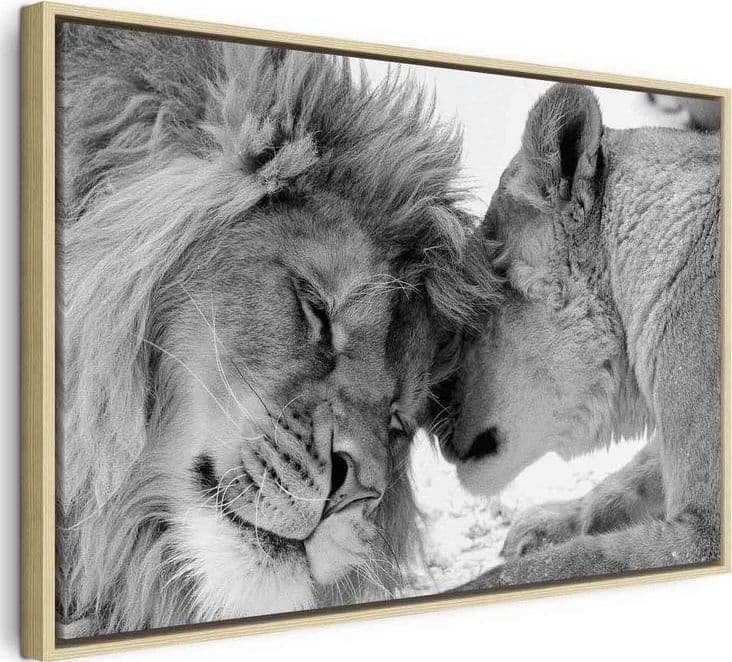 Quadro Lion's Love in Poster e stampe Collezione Casa - Trebisacce, commercioVirtuoso.it