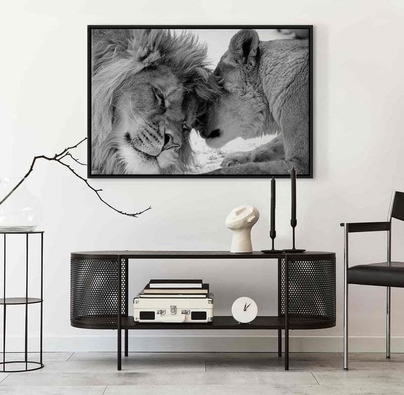 Quadro Lion's Love in Poster e stampe Collezione Casa - Trebisacce, commercioVirtuoso.it