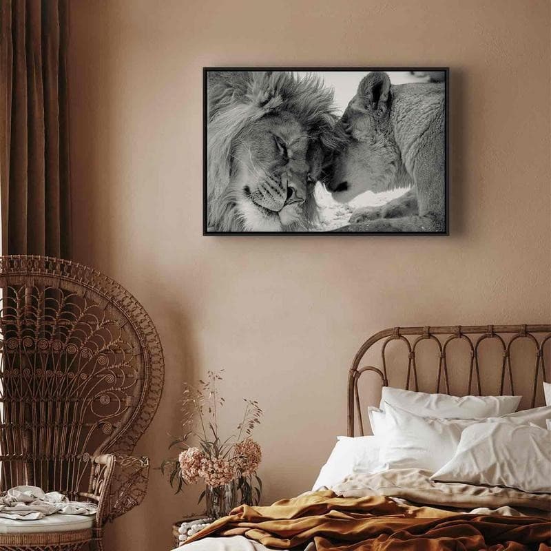 Quadro Lion's Love in Poster e stampe Collezione Casa - Trebisacce, commercioVirtuoso.it