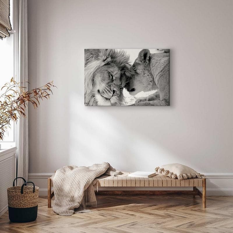 Quadro Lion's Love in Poster e stampe Collezione Casa - Trebisacce, commercioVirtuoso.it