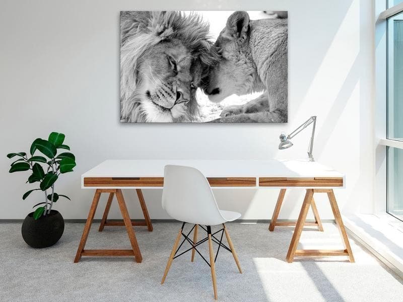 Quadro Lion's Love in Poster e stampe Collezione Casa - Trebisacce, commercioVirtuoso.it