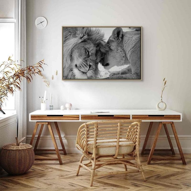 Quadro Lion's Love in Poster e stampe Collezione Casa - Trebisacce, commercioVirtuoso.it