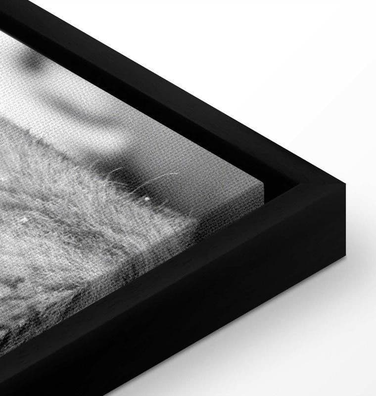 Quadro Lion's Love in Poster e stampe Collezione Casa - Trebisacce, commercioVirtuoso.it