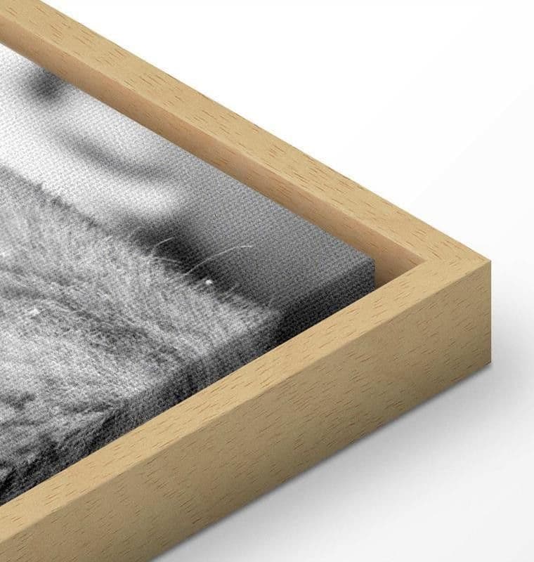Quadro Lion's Love in Poster e stampe Collezione Casa - Trebisacce, commercioVirtuoso.it