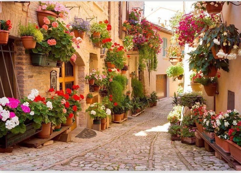 Fotomurale The Alley in Spello (Italy) in Carta da parati Collezione Casa - Trebisacce, commercioVirtuoso.it