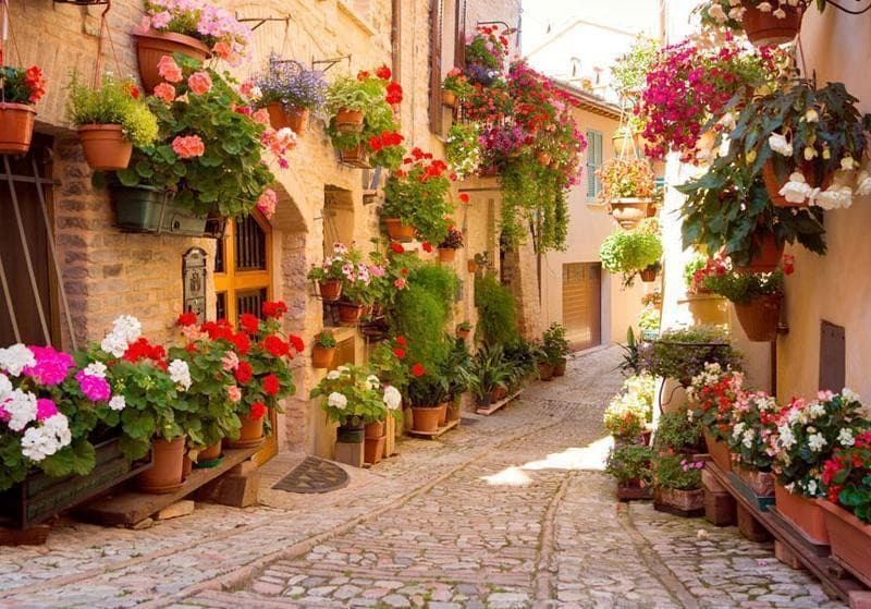 Fotomurale The Alley in Spello (Italy) in Carta da parati Collezione Casa - Trebisacce, commercioVirtuoso.it