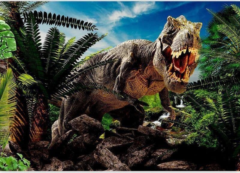 Fotomurale Angry Tyrannosaur in Carta da parati Collezione Casa - Trebisacce, commercioVirtuoso.it