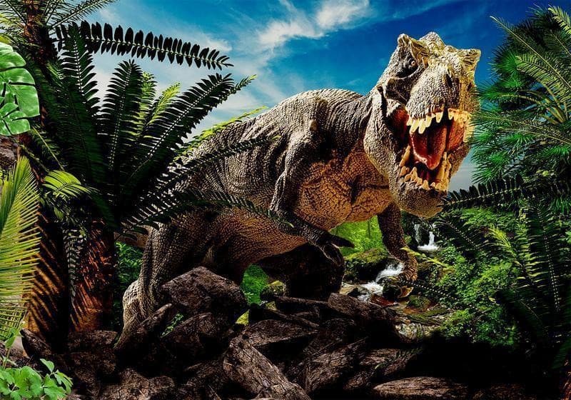Fotomurale Angry Tyrannosaur in Carta da parati Collezione Casa - Trebisacce, commercioVirtuoso.it