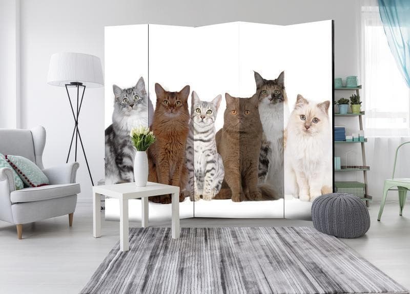 Paravento Sweet Cats II [divisori da interno] in Paraventi Collezione Casa - Trebisacce, commercioVirtuoso.it