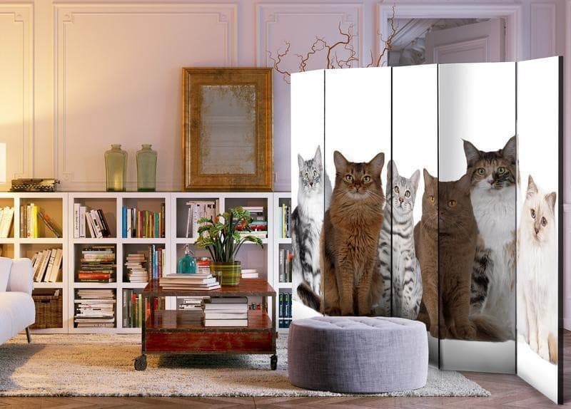 Paravento Sweet Cats II [divisori da interno] in Paraventi Collezione Casa - Trebisacce, commercioVirtuoso.it