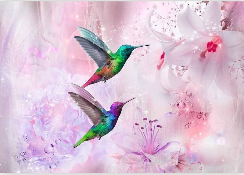 Fotomurale Colourful Hummingbirds (Purple) in Carta da parati Collezione Casa - Trebisacce, commercioVirtuoso.it