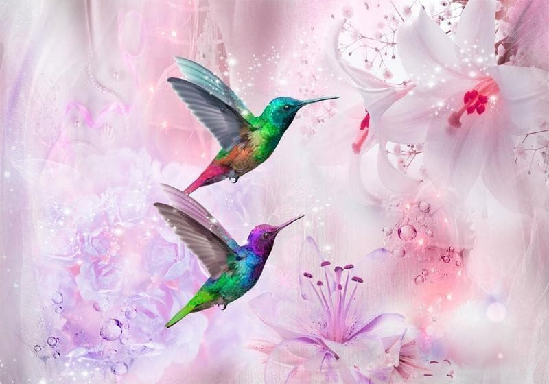 Fotomurale Colourful Hummingbirds (Purple) in Carta da parati Collezione Casa - Trebisacce, commercioVirtuoso.it