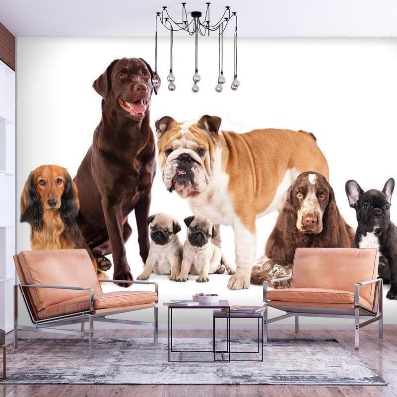 Carta da Parati Cani Accucciati in Carta da parati Collezione Casa - Trebisacce, commercioVirtuoso.it