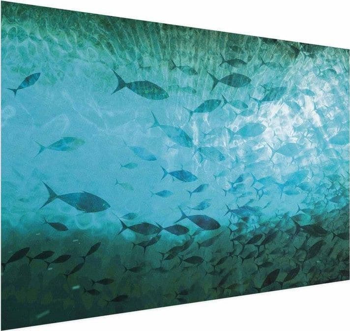 Poster - Group of Dark Fish in Poster e stampe Collezione Casa - Trebisacce, commercioVirtuoso.it