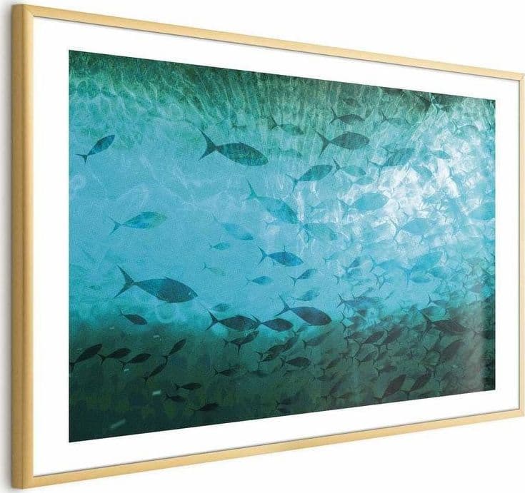 Poster - Group of Dark Fish in Poster e stampe Collezione Casa - Trebisacce, commercioVirtuoso.it