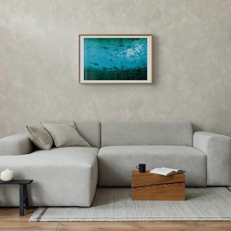 Poster - Group of Dark Fish in Poster e stampe Collezione Casa - Trebisacce, commercioVirtuoso.it