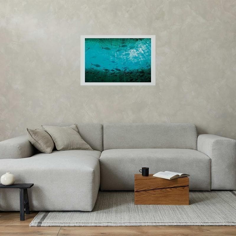 Poster - Group of Dark Fish in Poster e stampe Collezione Casa - Trebisacce, commercioVirtuoso.it