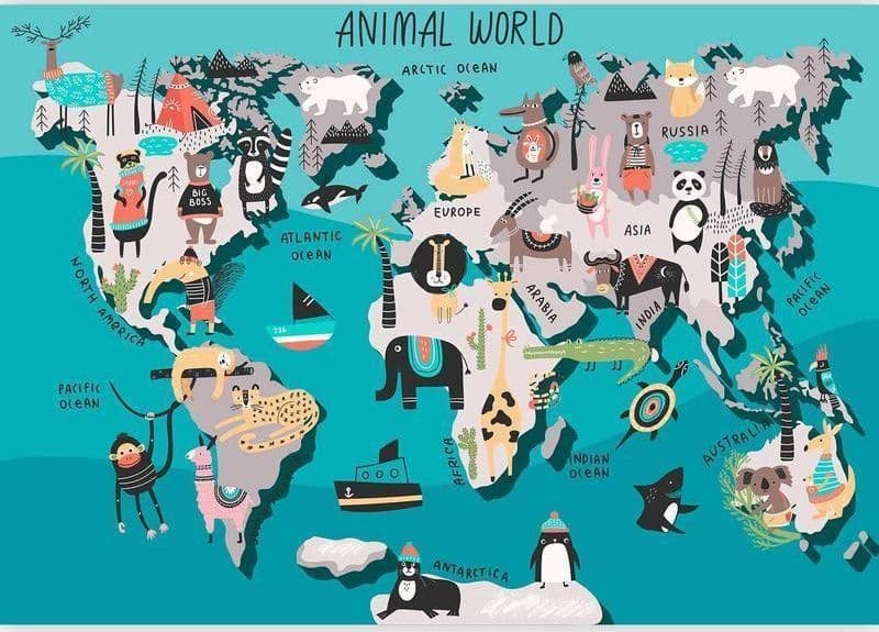 Fotomurale Animal Map in Carta da parati Collezione Casa - Trebisacce, commercioVirtuoso.it