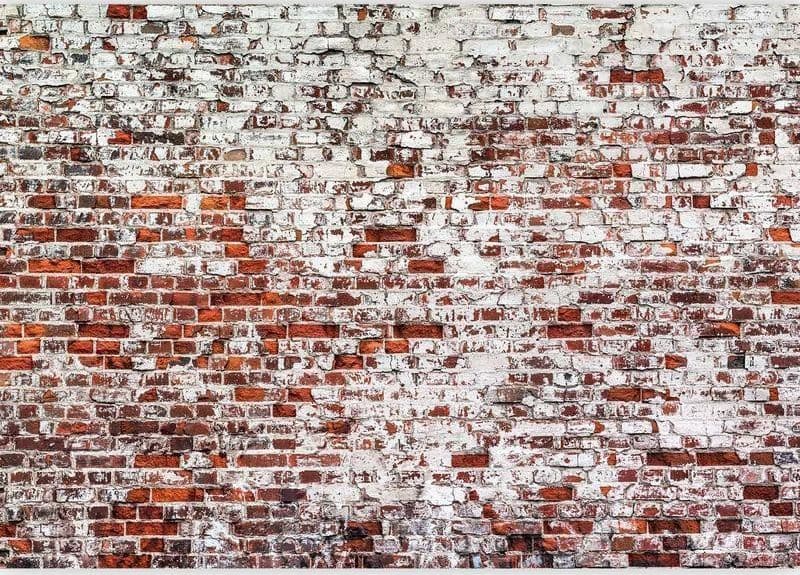 Fotomurale Her Highness The Brick in Carta da parati Collezione Casa - Trebisacce, commercioVirtuoso.it