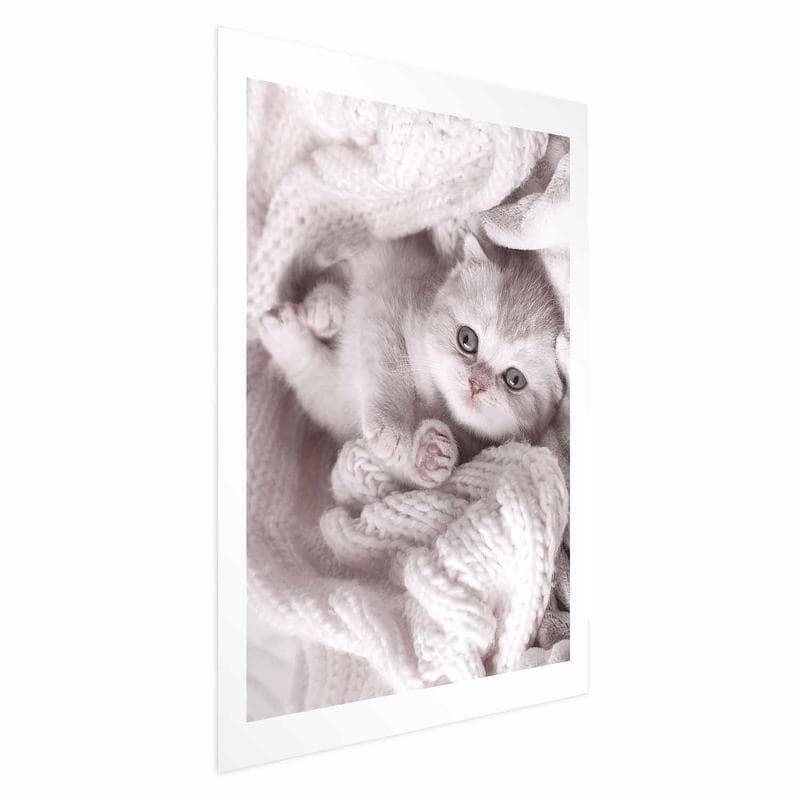 Poster - Lover of Rest in Poster e stampe Collezione Casa - Trebisacce, commercioVirtuoso.it