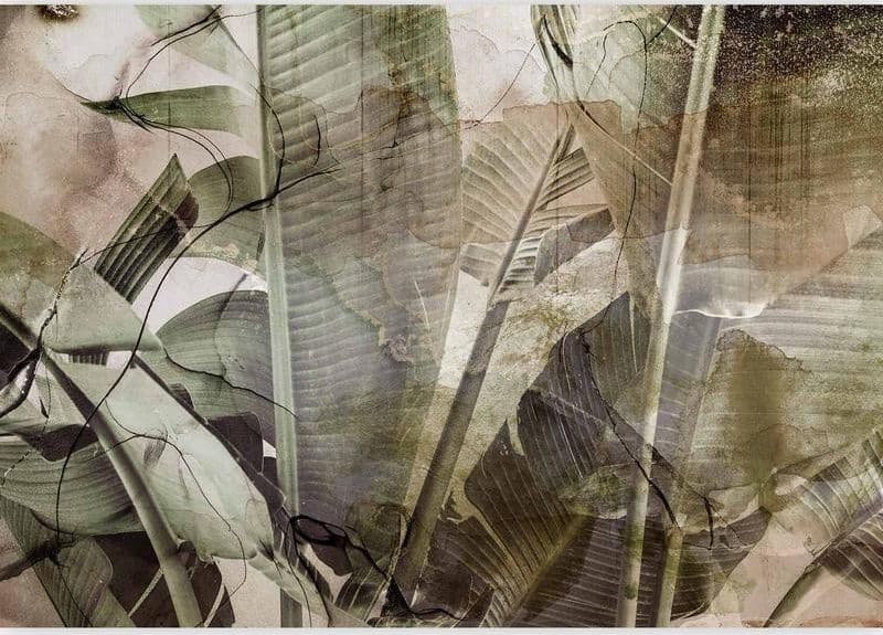Fotomurale Banana Jungle in Carta da parati Collezione Casa - Trebisacce, commercioVirtuoso.it