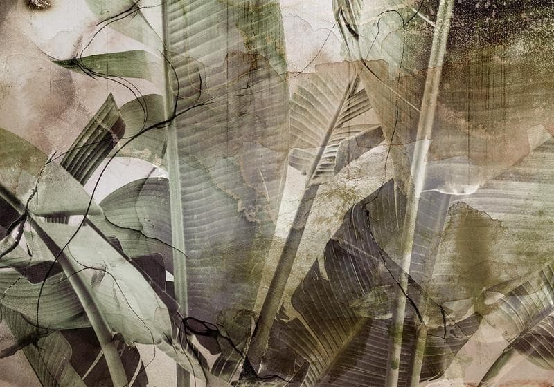 Fotomurale Banana Jungle in Carta da parati Collezione Casa - Trebisacce, commercioVirtuoso.it