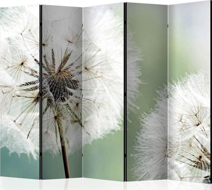 Paravento  Two dandelions II [Room Dividers]