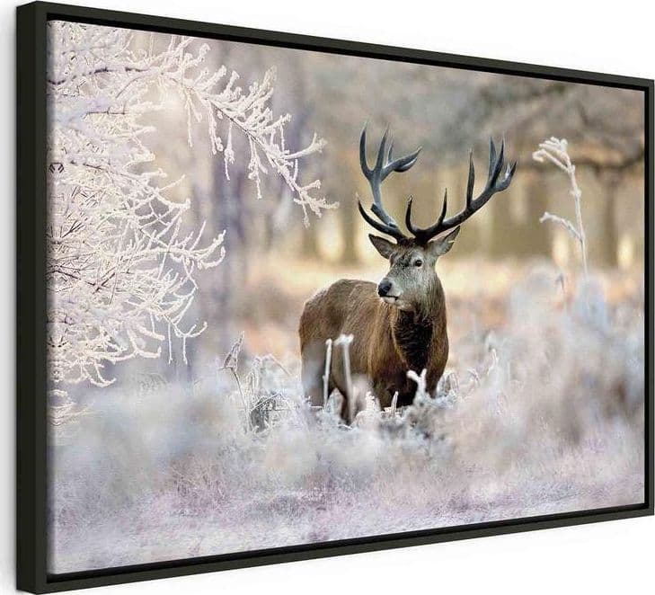 Quadro Deer in the Cold in Poster e stampe Collezione Casa - Trebisacce, commercioVirtuoso.it