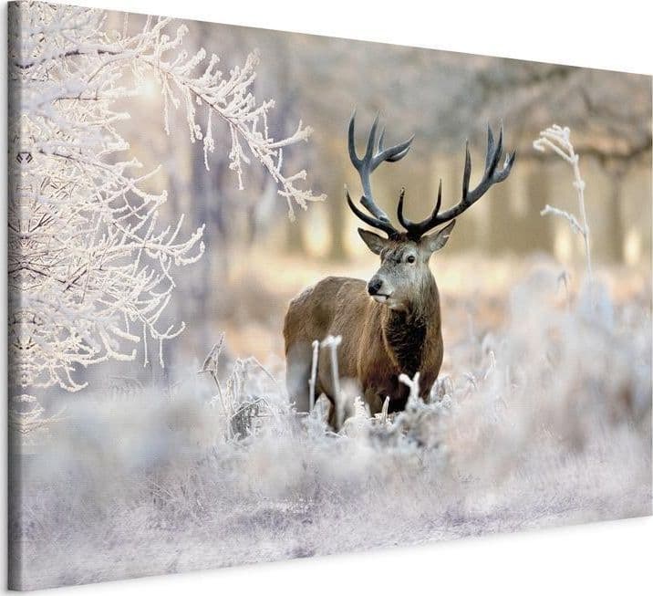Quadro Deer in the Cold in Poster e stampe Collezione Casa - Trebisacce, commercioVirtuoso.it