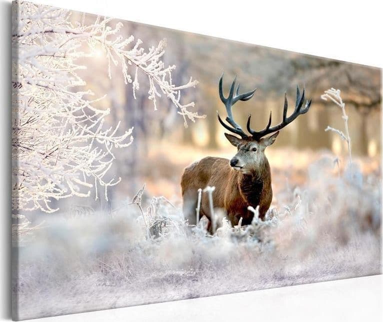 Quadro Deer in the Cold in Poster e stampe Collezione Casa - Trebisacce, commercioVirtuoso.it