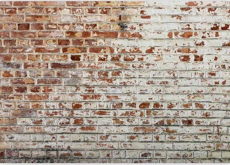 Fotomurale Walls of Memory in Carta da parati Collezione Casa - Trebisacce, commercioVirtuoso.it
