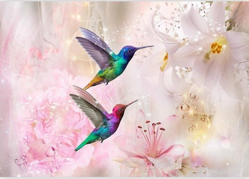 Fotomurale Colourful Hummingbirds (Pink) in Carta da parati Collezione Casa - Trebisacce, commercioVirtuoso.it