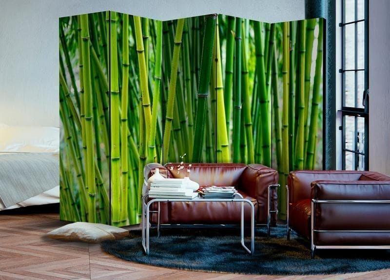 Paravento Bamboo Forest II [divisori da interno] in Paraventi Collezione Casa - Trebisacce, commercioVirtuoso.it