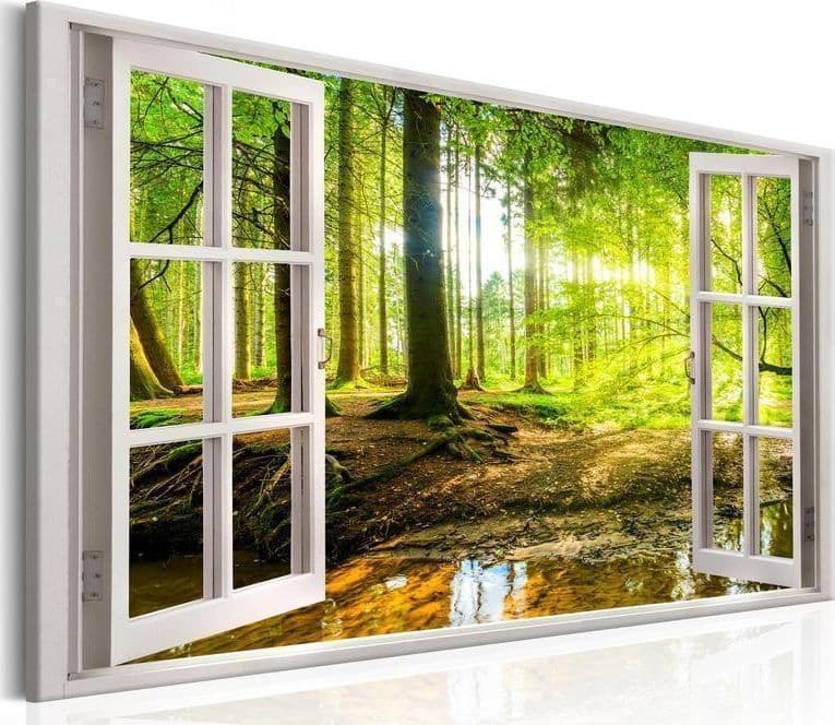 Quadro Window View on Forest in Poster e stampe Collezione Casa - Trebisacce, commercioVirtuoso.it
