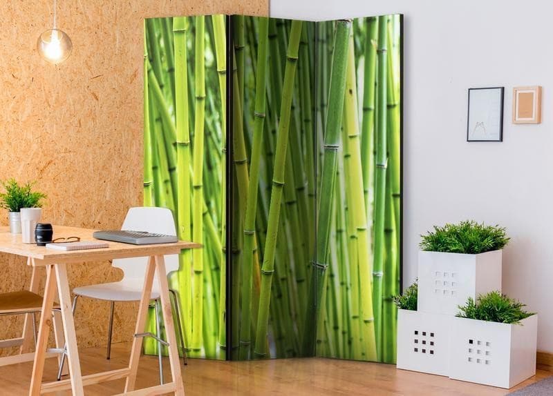 Paravento Bamboo Forest [divisori da interno] in Paraventi Collezione Casa - Trebisacce, commercioVirtuoso.it