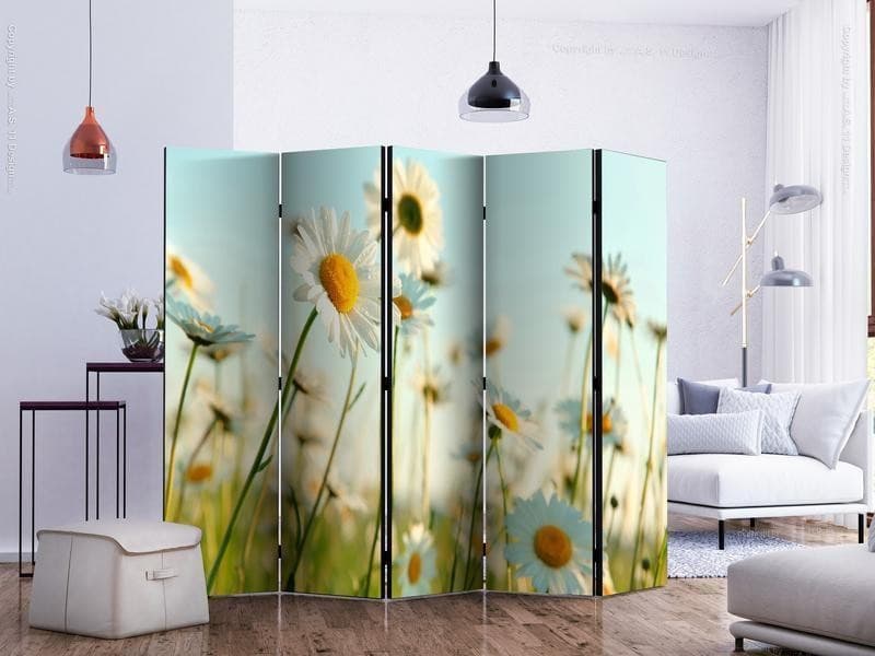 Paravento Daisies spring meadow II [divisori da interno] in Paraventi Collezione Casa - Trebisacce, commercioVirtuoso.it