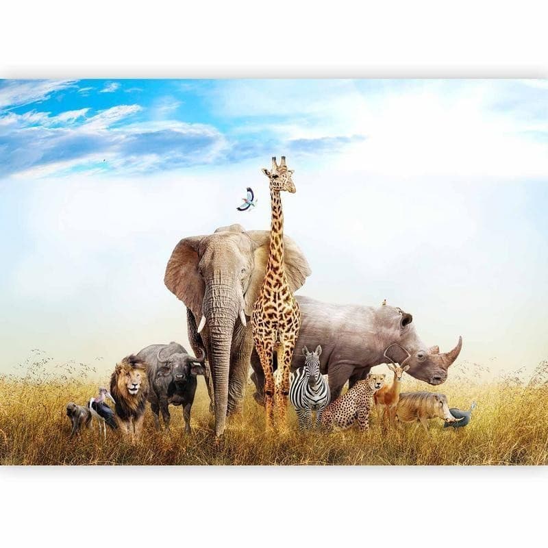 Carta da Parati Fauna in Africa in Carta da parati Collezione Casa - Trebisacce, commercioVirtuoso.it
