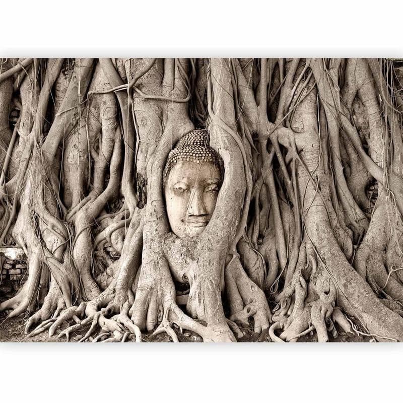 Carta da Parati Albero Buddha in Carta da parati Collezione Casa - Trebisacce, commercioVirtuoso.it