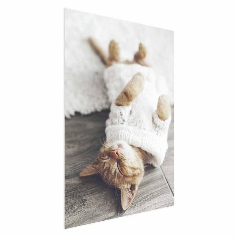 Poster - Lazy Cat in Targhe e cartelli Collezione Casa - Trebisacce, commercioVirtuoso.it