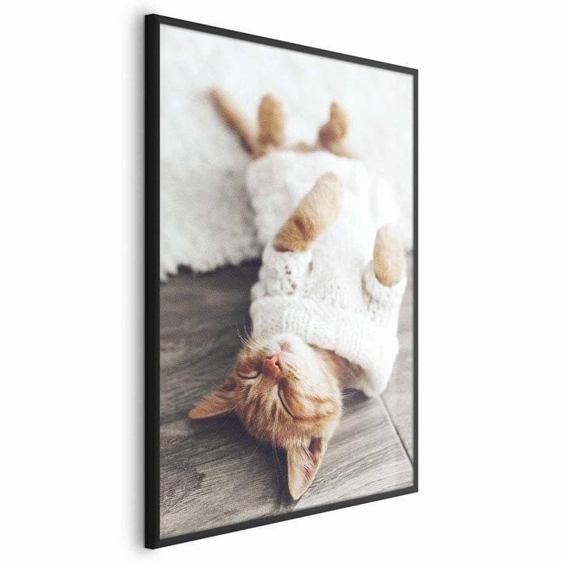 Poster - Lazy Cat in Targhe e cartelli Collezione Casa - Trebisacce, commercioVirtuoso.it