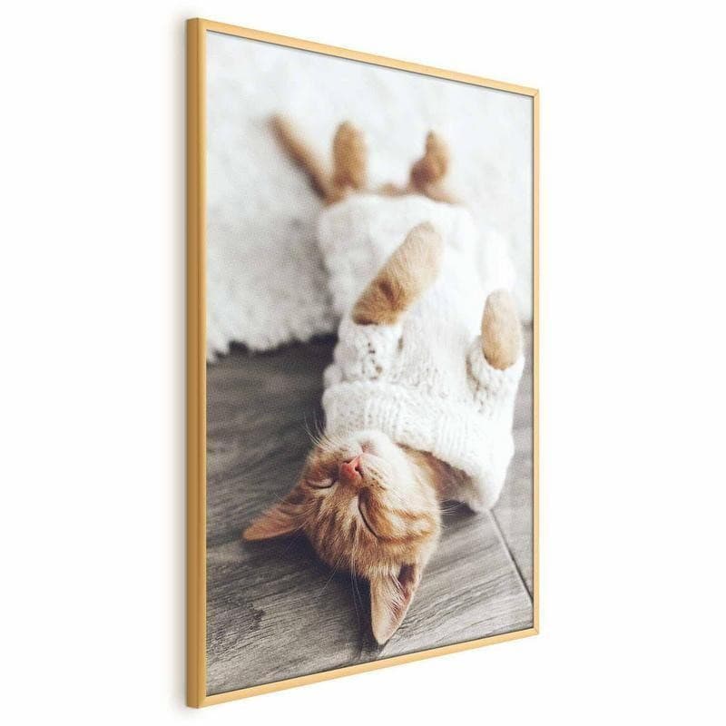Poster - Lazy Cat in Targhe e cartelli Collezione Casa - Trebisacce, commercioVirtuoso.it